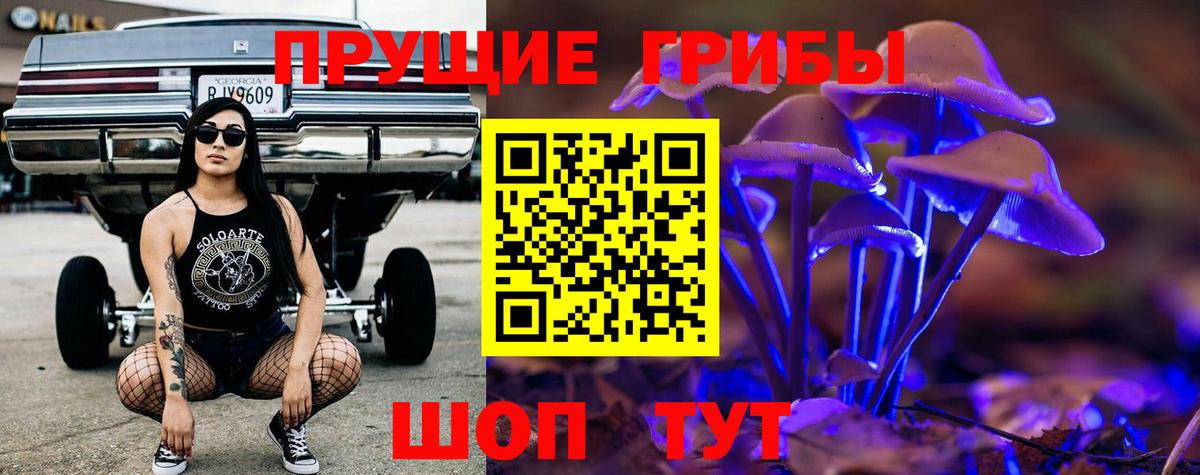 Полевской  Галлюциногенные грибы Psilocybine cubensis  Вход с VPN  Псилоцибиновые грибы мицелий 