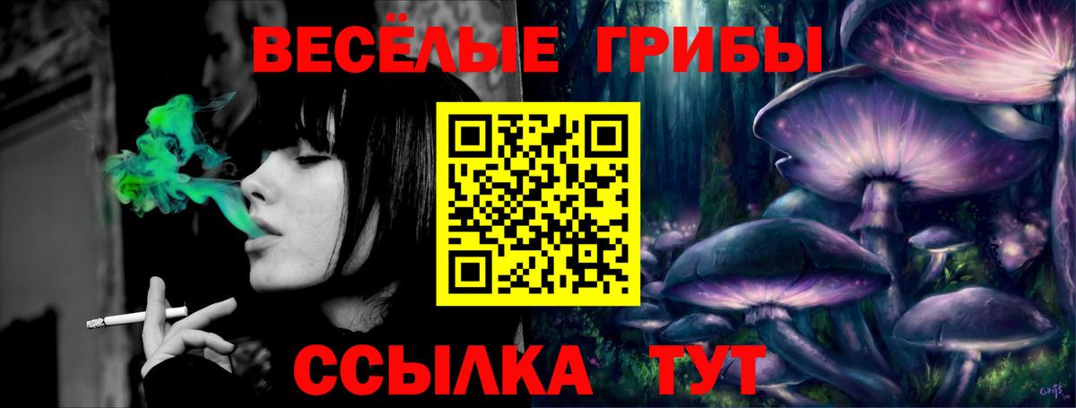 Галлюциногенные грибы прущие грибы Полевской